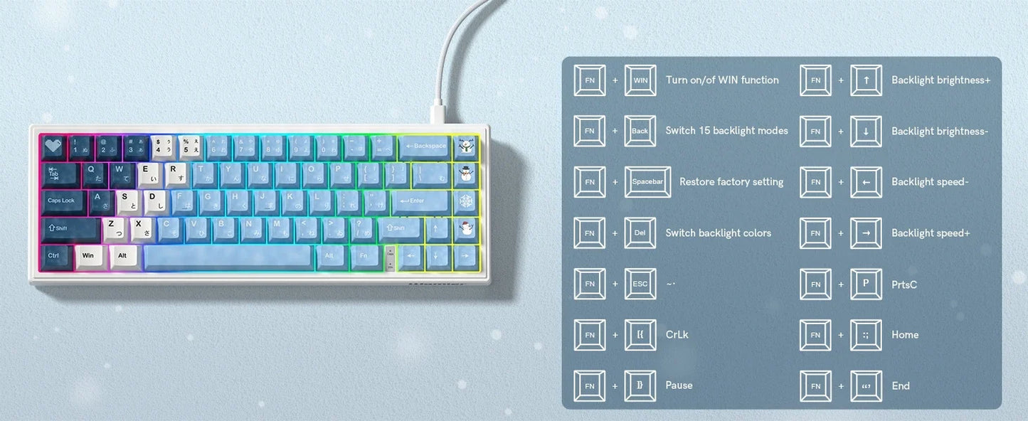 Mechanical Keyboard 68-Key Hall Effect RGB Wired Compact