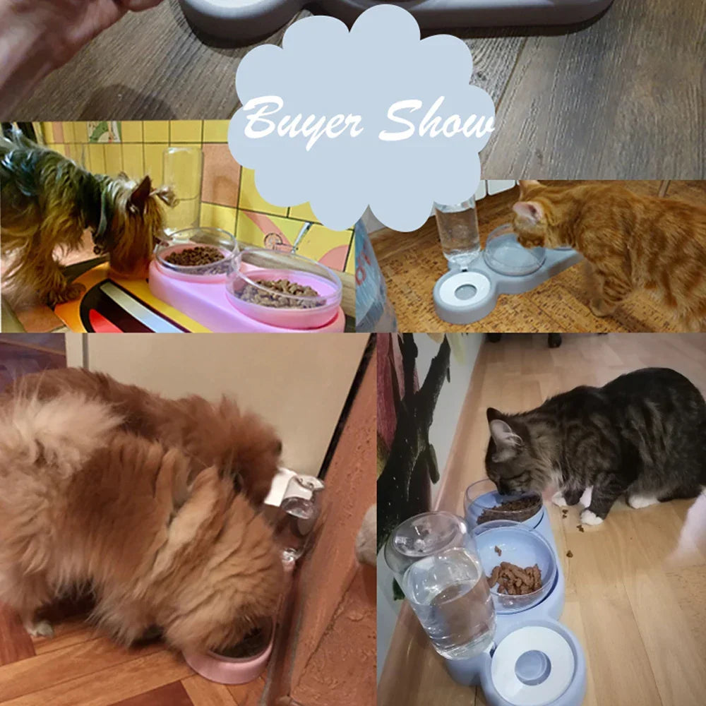 Raised Pet Feeding Station Tilted 3-Bowl Design With 500ML Water Bottle Fall 2025 Ergonomic Spine Protection