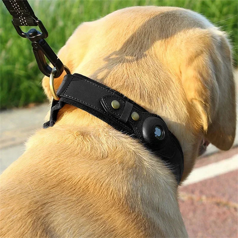 Leather Dog Collar Adjustable Padded Pet Collar With AirTag Holder Luxury Design All-Season Comfort Gift