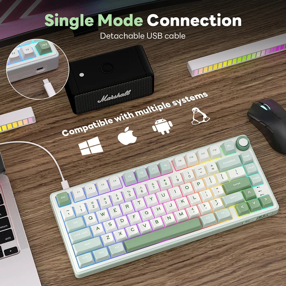 Mechanical Keyboard R75 Gasket 80Key RGB Hot Swap Spanish