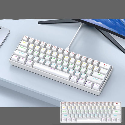 60 Percent Mechanical Mini Keyboard Wired RGB Portable