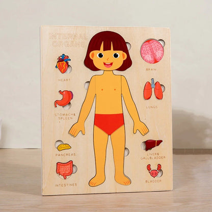Variant image for Montessori Human Anatomy Jigsaw Puzzle for Kids, 10 Pieces Educational Toy, Interactive Learning Tool, Non-Toxic Wood, 12 x 9 Inches-2