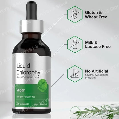 Liquid Chlorophyll Drops Mint Flavor 59 ml, Non-GMO Gluten-Free Herbal Dietary Supplement for Wellness Fall 2026 Trend