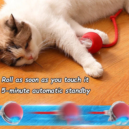 Fruit Interactive Cat Ball Toy - Automatic Rolling Rechargeable Smart Dog & Cat Electric Toy