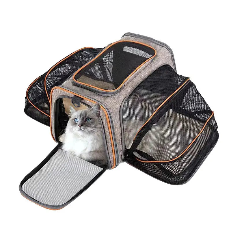 Pet Carrier Bag Up To 10kg Foldable Breathable Soft-Sided Travel Carrier Fall 2025 Safe Locking Zippers