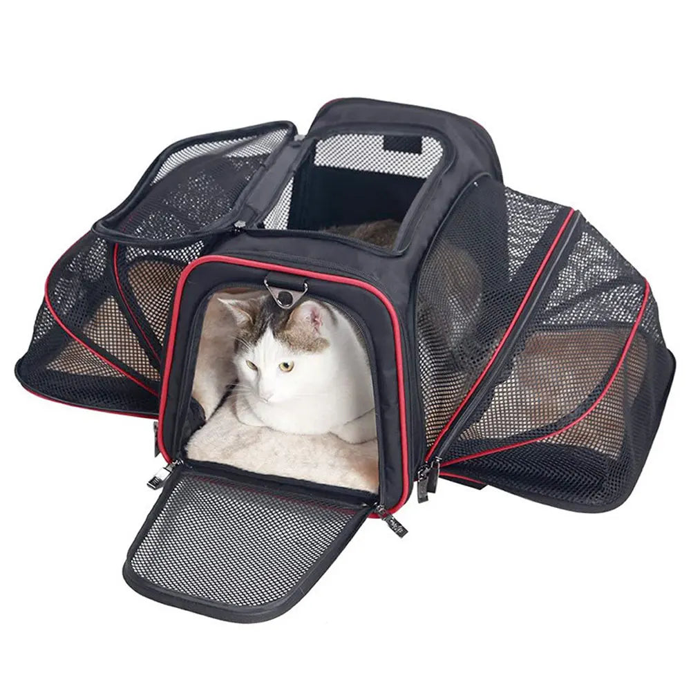 Pet Carrier Bag Up To 10kg Foldable Breathable Soft-Sided Travel Carrier Fall 2025 Safe Locking Zippers