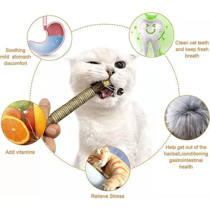 Natural Silver Vine Cat Dental Chew Rod - Bite-Resistant Matatabi Teeth Cleaning Toy