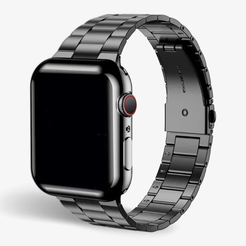Stainless Steel Watch Band With Protective Case Secure Fit