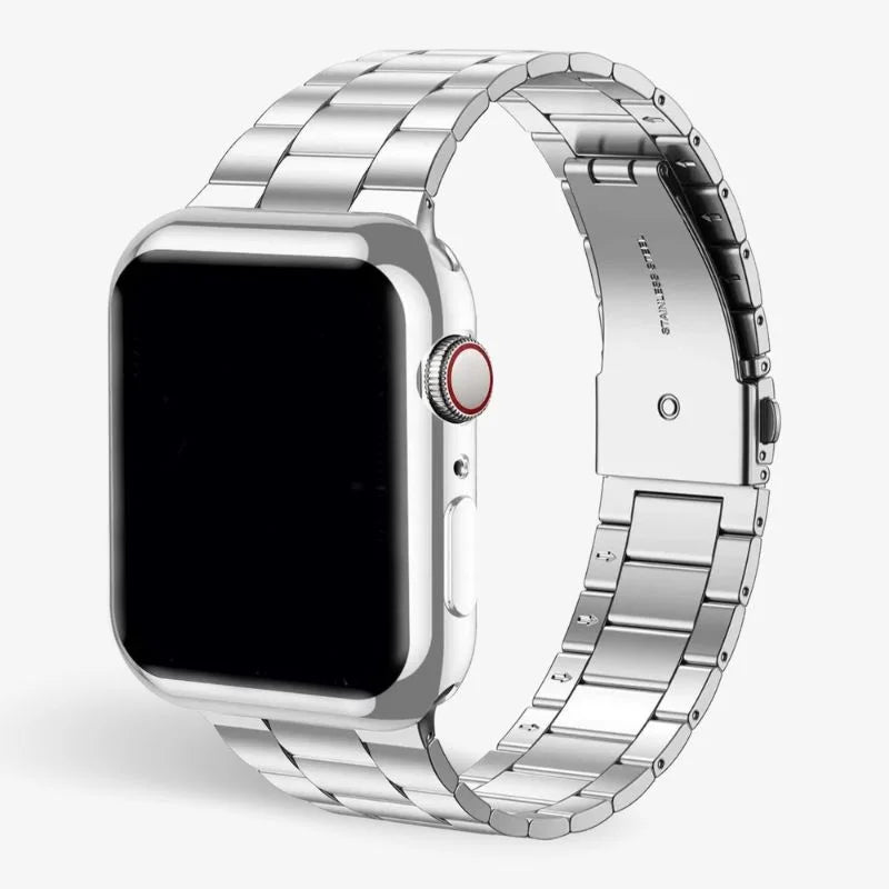 Stainless Steel Watch Band With Protective Case Secure Fit