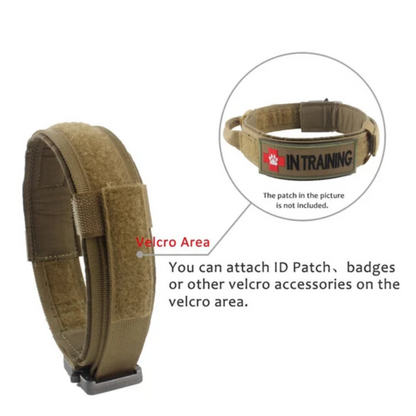 Dog Collar Tactical K9 With Patch Panel Top Handle Training And Control Fall 2025