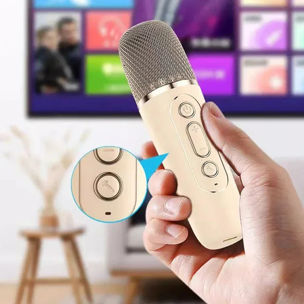 Portable Bluetooth Karaoke Machine with Wireless Microphones - Fun Family Singing Gift