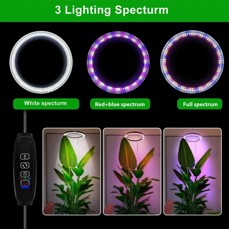 Grow Light For Indoor Plants Full Spectrum LED Plant Light, Year-Round Growth, Energy Efficient
