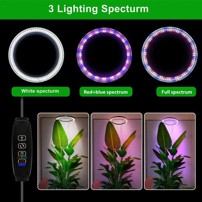 Grow Light For Indoor Plants Full Spectrum LED Plant Light, Year-Round Growth, Energy Efficient