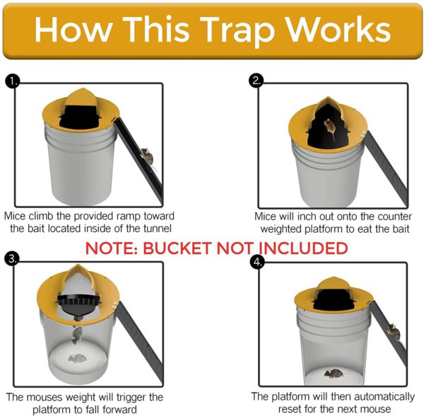 Mouse Trap Bucket Lid Non Toxic Sanitary Fall 2025 Safe