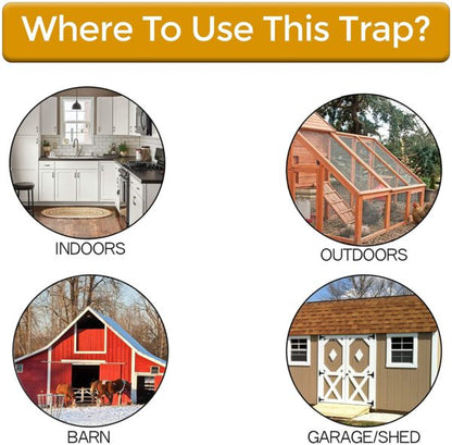 Mouse Trap Bucket Lid Non Toxic Sanitary Fall 2025 Safe