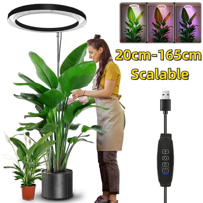 Grow Light For Indoor Plants Full Spectrum LED Plant Light, Year-Round Growth, Energy Efficient