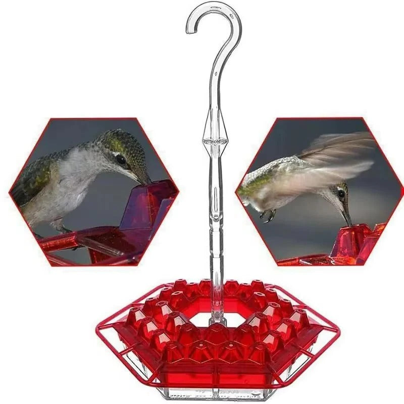 Hummingbird Feeder Ant Proof Outdoor Hanging Easy Perch