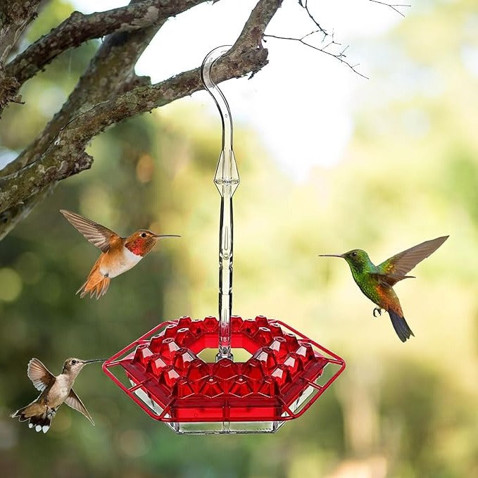 Hummingbird Feeder Ant Proof Outdoor Hanging Easy Perch