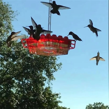 Hummingbird Feeder Ant Proof Outdoor Hanging Easy Perch