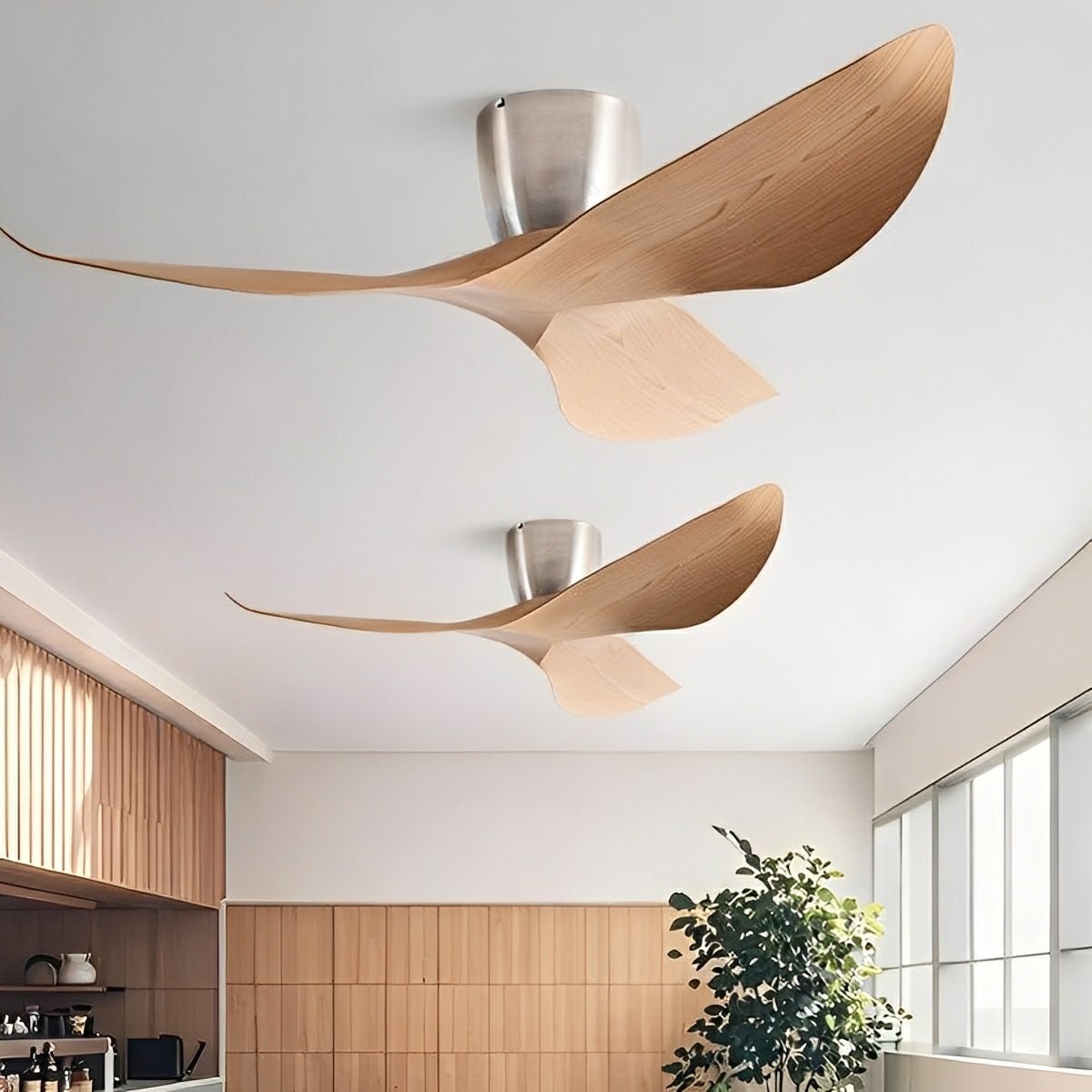 Modern 6 - speed DC Motor Reverse Frequency Ceiling Fan - Flare Shack