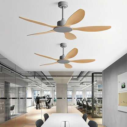 Modern Minimalist 5-Blades DC Motor Reverse Ceiling Fan