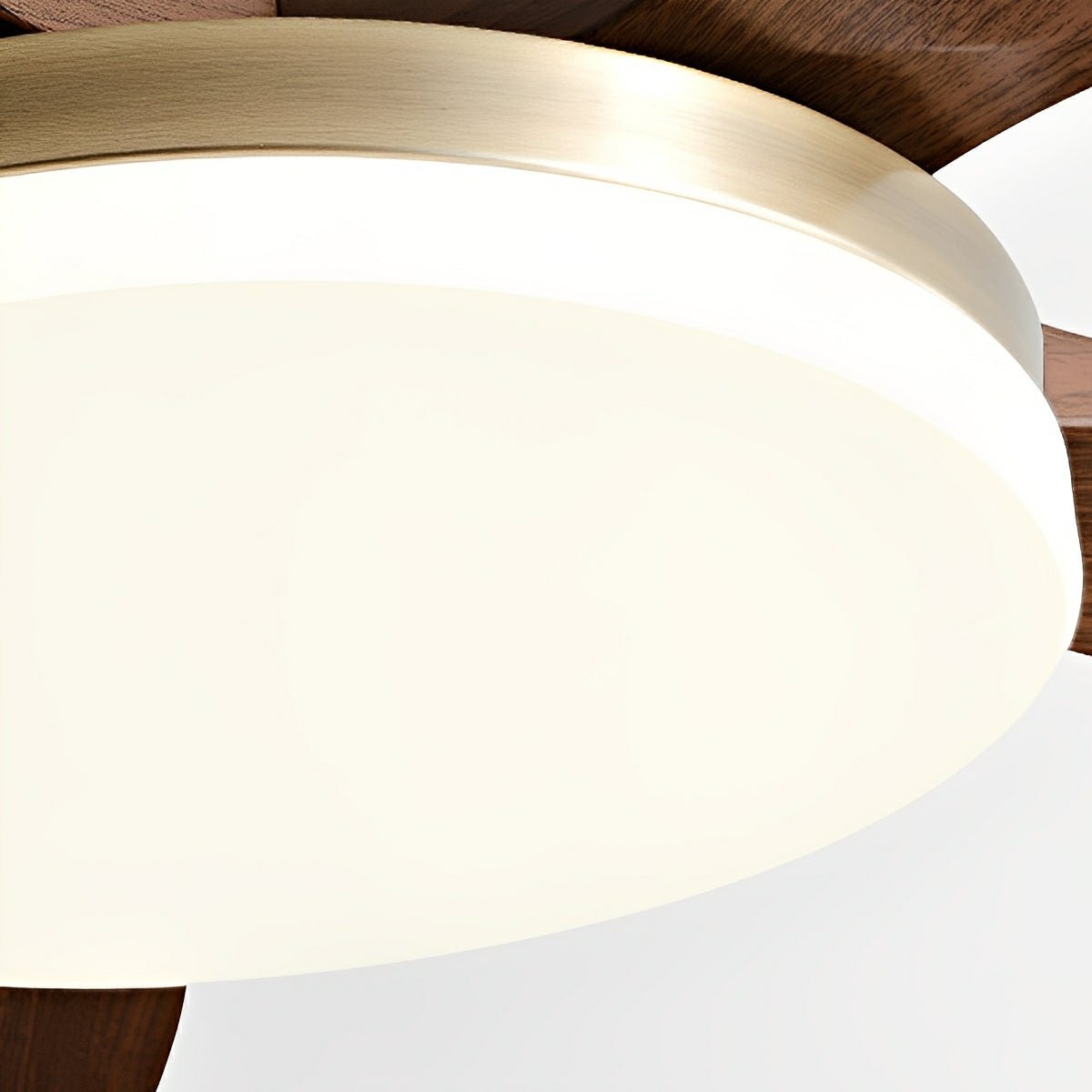 Modern Minimalist 5-Blades DC Motor Reverse Full-Spectrum LED Ceiling Fan Light