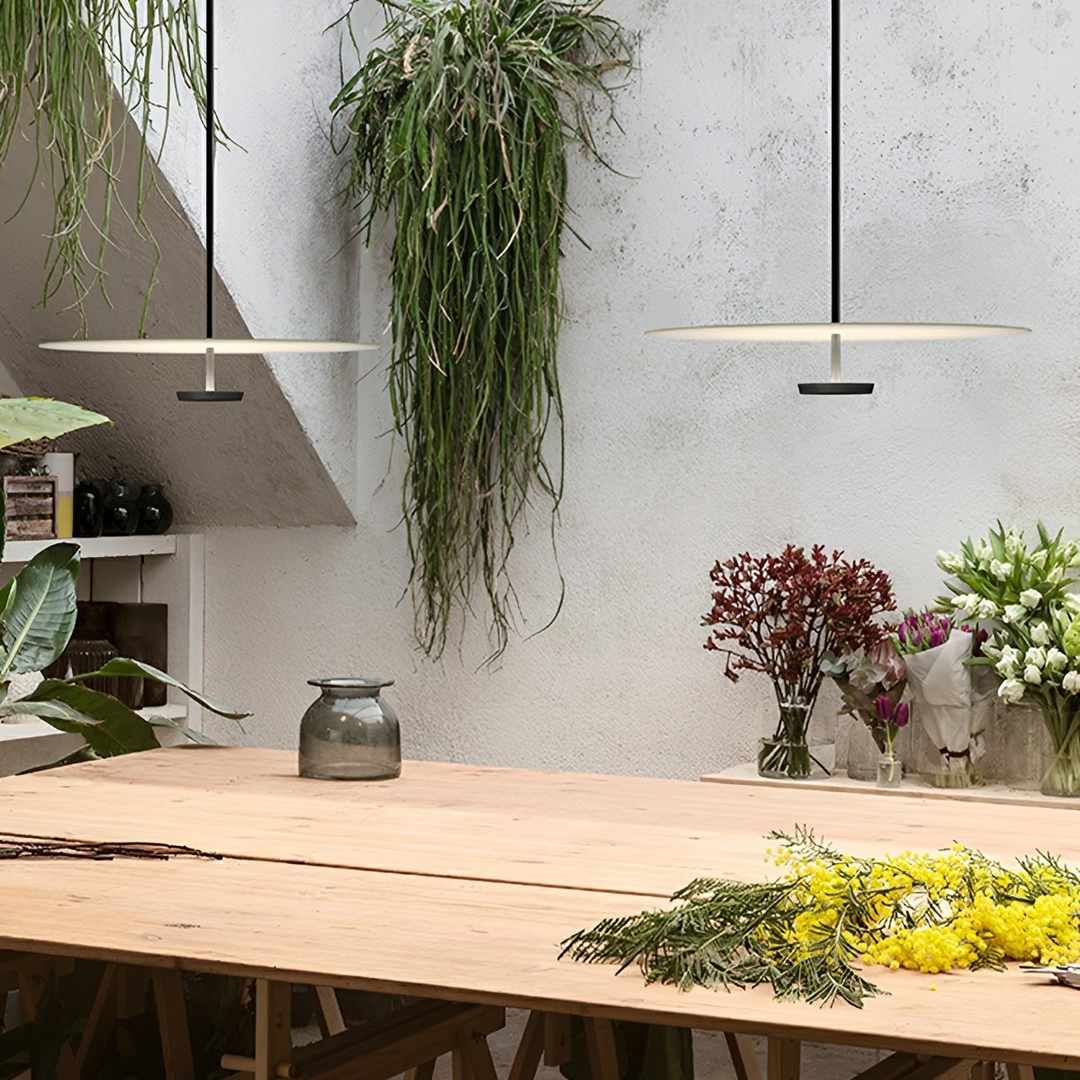 Modern Minimalist Black Slim Dish LED Pendant Lights