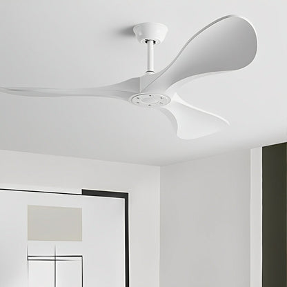 Modern Minimalist DC Motor Reverse Ceiling Fan - Flare Shack