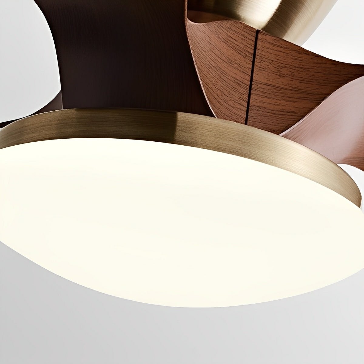 Modern Minimalist DC Motor Reverse Ceiling Fan Light