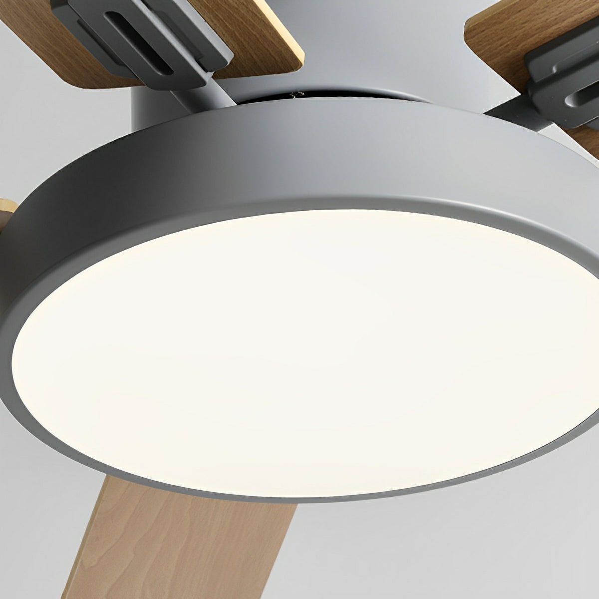 Modern Minimalist 6-Speed Reverse Frequency Conversion DC Motor Ceiling Fan Light