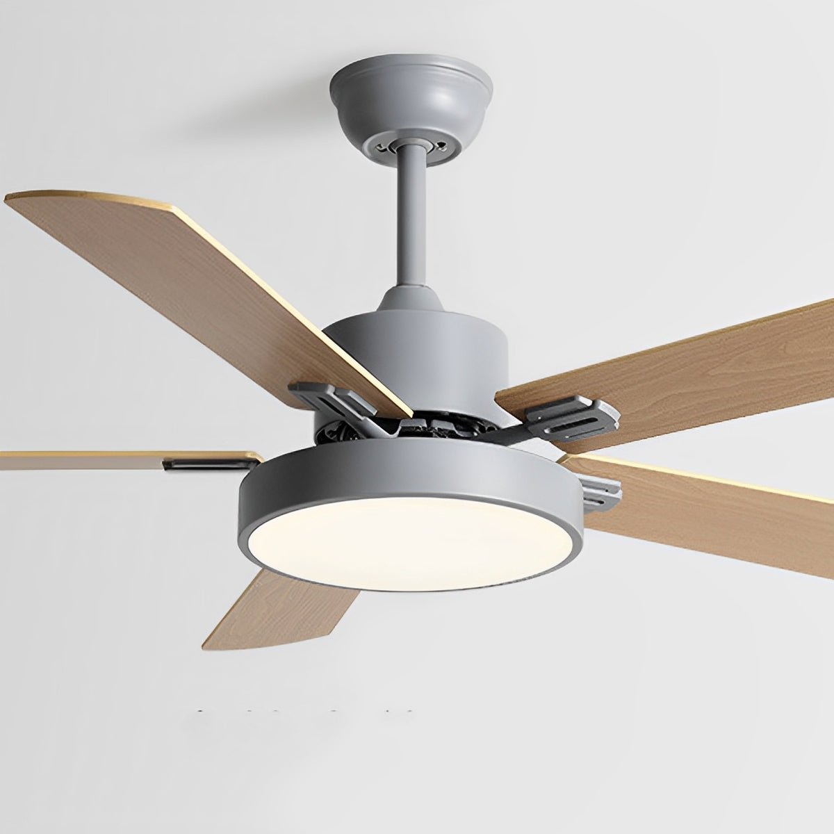 Modern Minimalist Five - leaf Frequency Conversion Ceiling Fan - Flare Shack