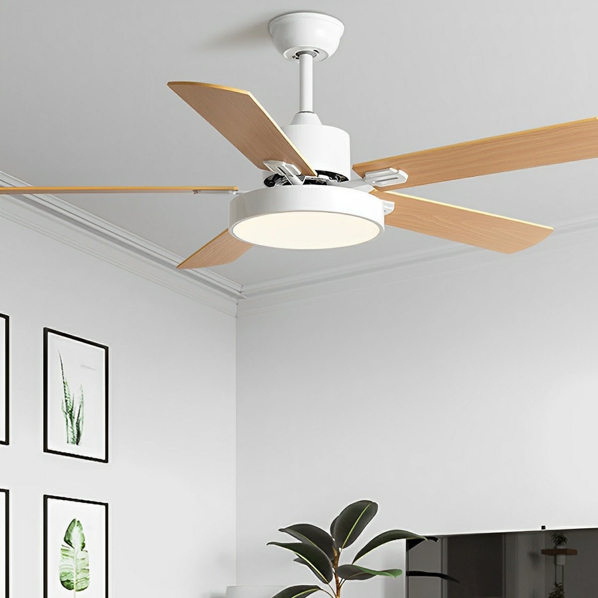 Modern Minimalist Five - leaf Frequency Conversion Ceiling Fan - Flare Shack