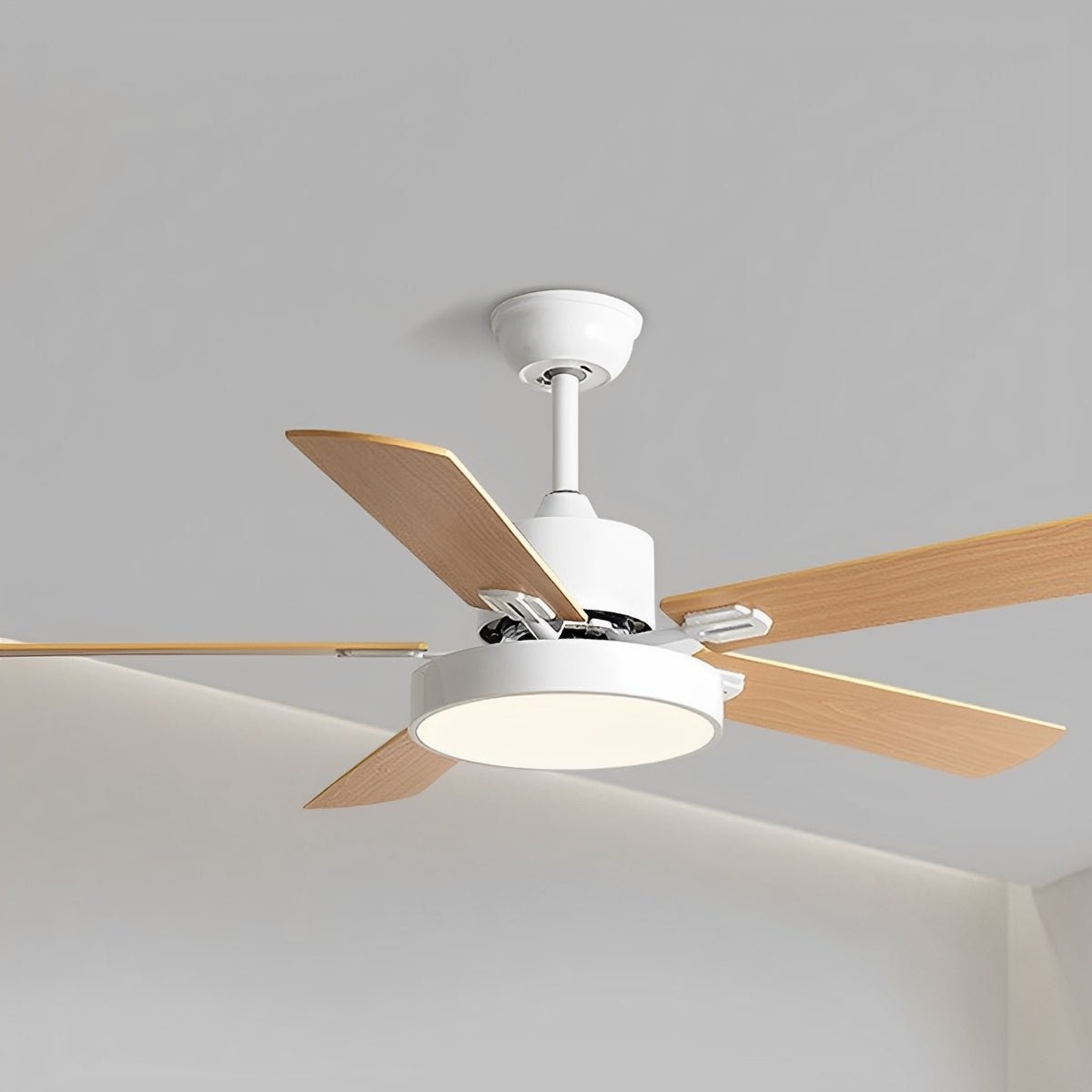 Modern Minimalist 6-Speed Reverse Frequency Conversion DC Motor Ceiling Fan Light