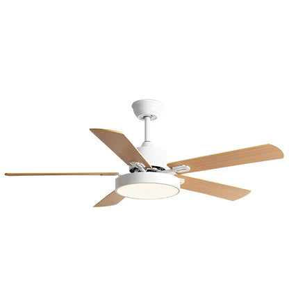Modern Minimalist 6-Speed Reverse Frequency Conversion DC Motor Ceiling Fan Light