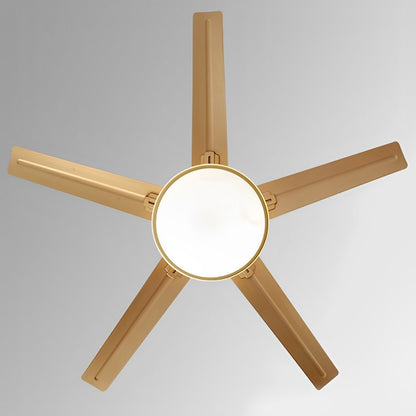Modern Minimalist DC Motor 6-Speed Reverse Stainless Steel Ceiling Fan Light