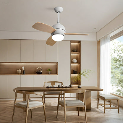 Nordic Minimalist LED Ceiling Paddle Fan DC Motor Fan Light - Flare Shack