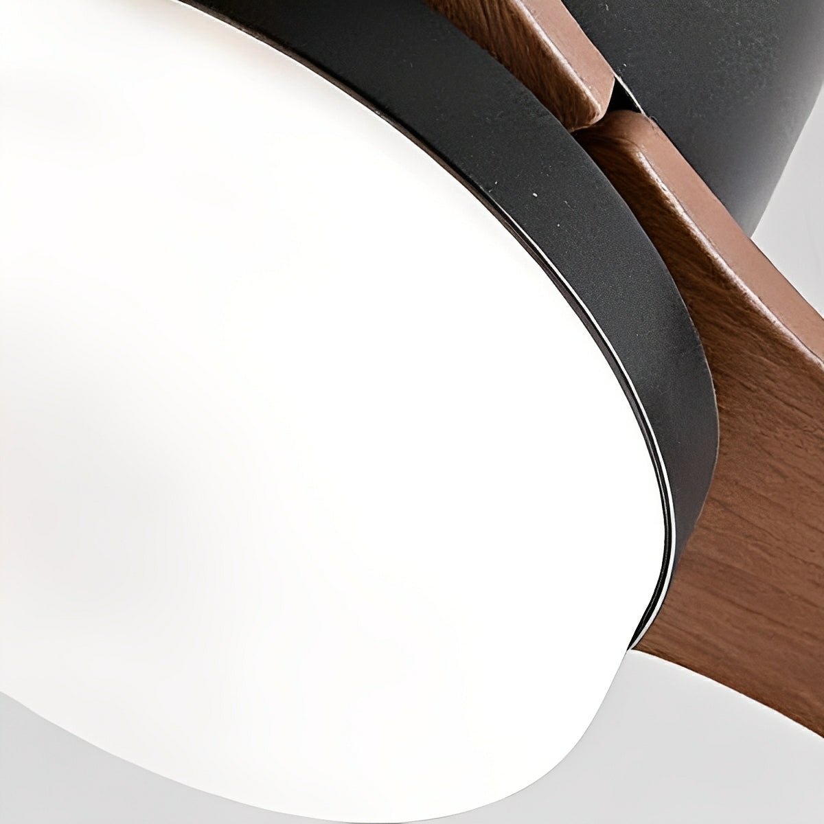 Nordic Modern Minimalist DC Motor Reverse LED Ceiling Fan Light