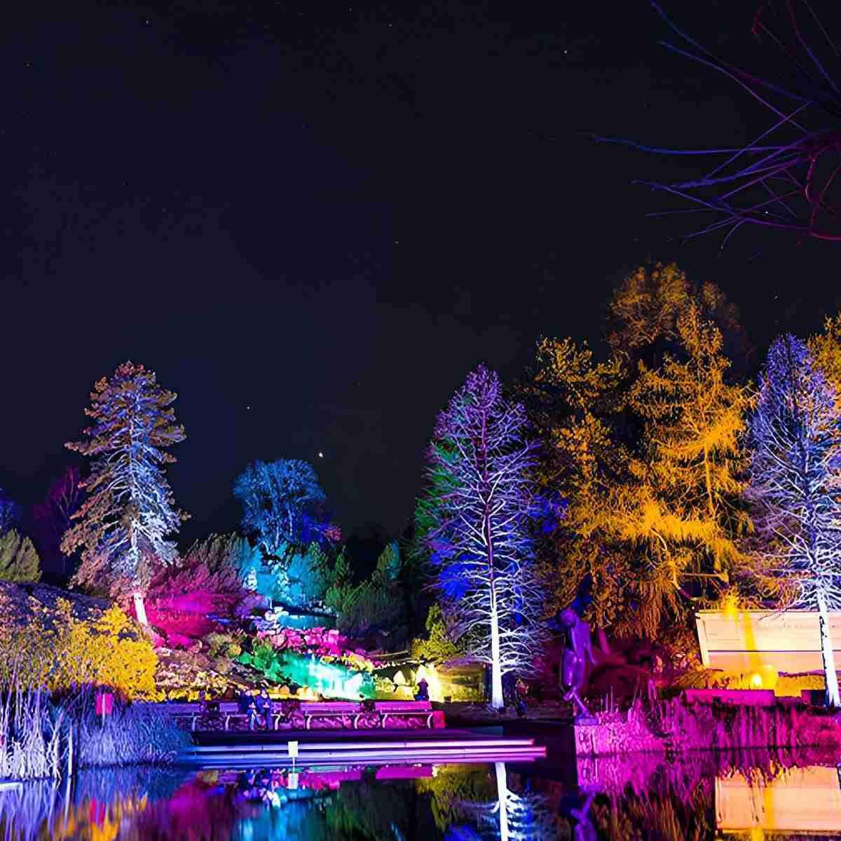 Outdoor Waterproof RGB LED Spot Lights Trees Lights - Flare Shack