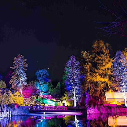 Outdoor Waterproof RGB LED Spot Lights Trees Lights - Flare Shack