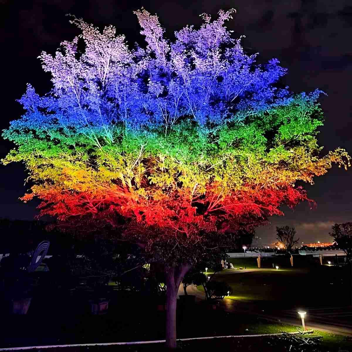 Outdoor Waterproof RGB LED Spot Lights Trees Lights - Flare Shack