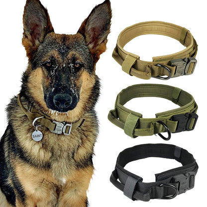 Dog Collar Tactical K9 With Patch Panel Top Handle Training And Control Fall 2025