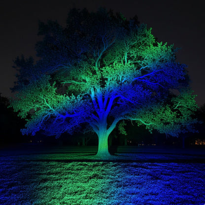 Color-changing Outdoor Waterproof RGB LED Spot Light Landscape Tree Lighting With Remote Control