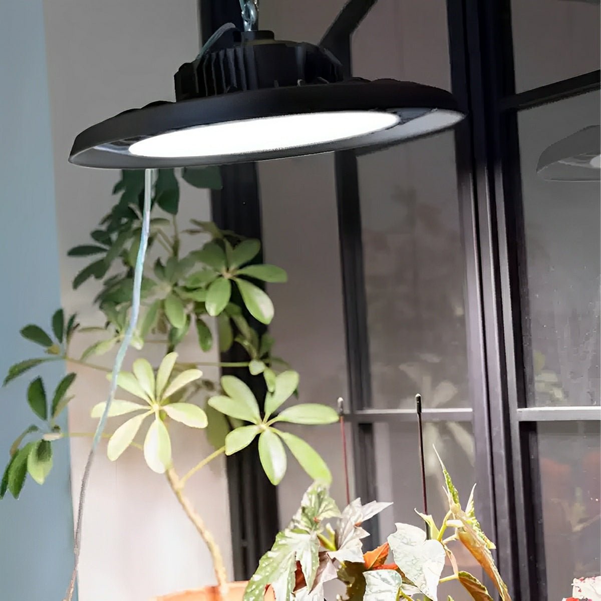 UFO Dish Greenhouse Garage Outdoor Waterproof LED Floodlight - Flare Shack